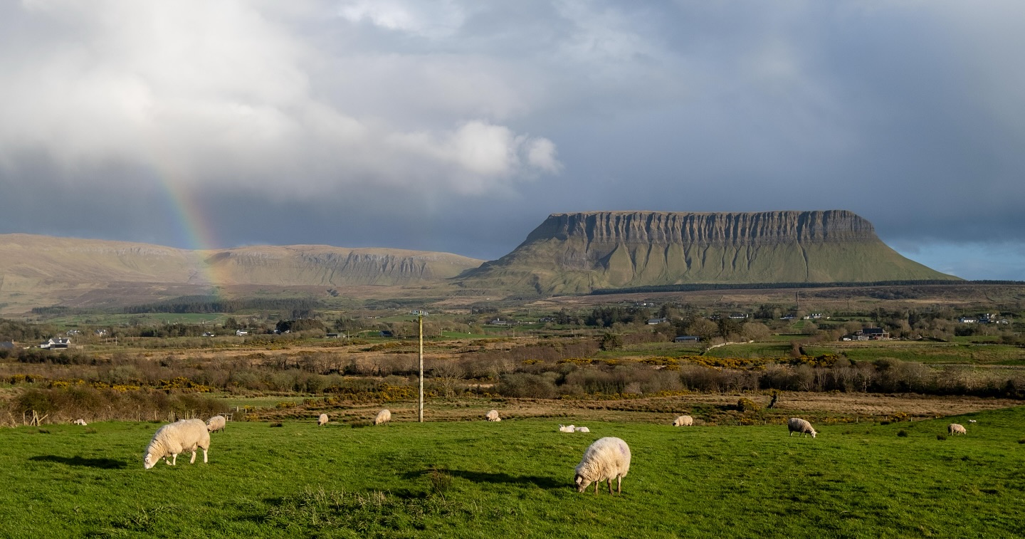 Founder of Neiland Websites